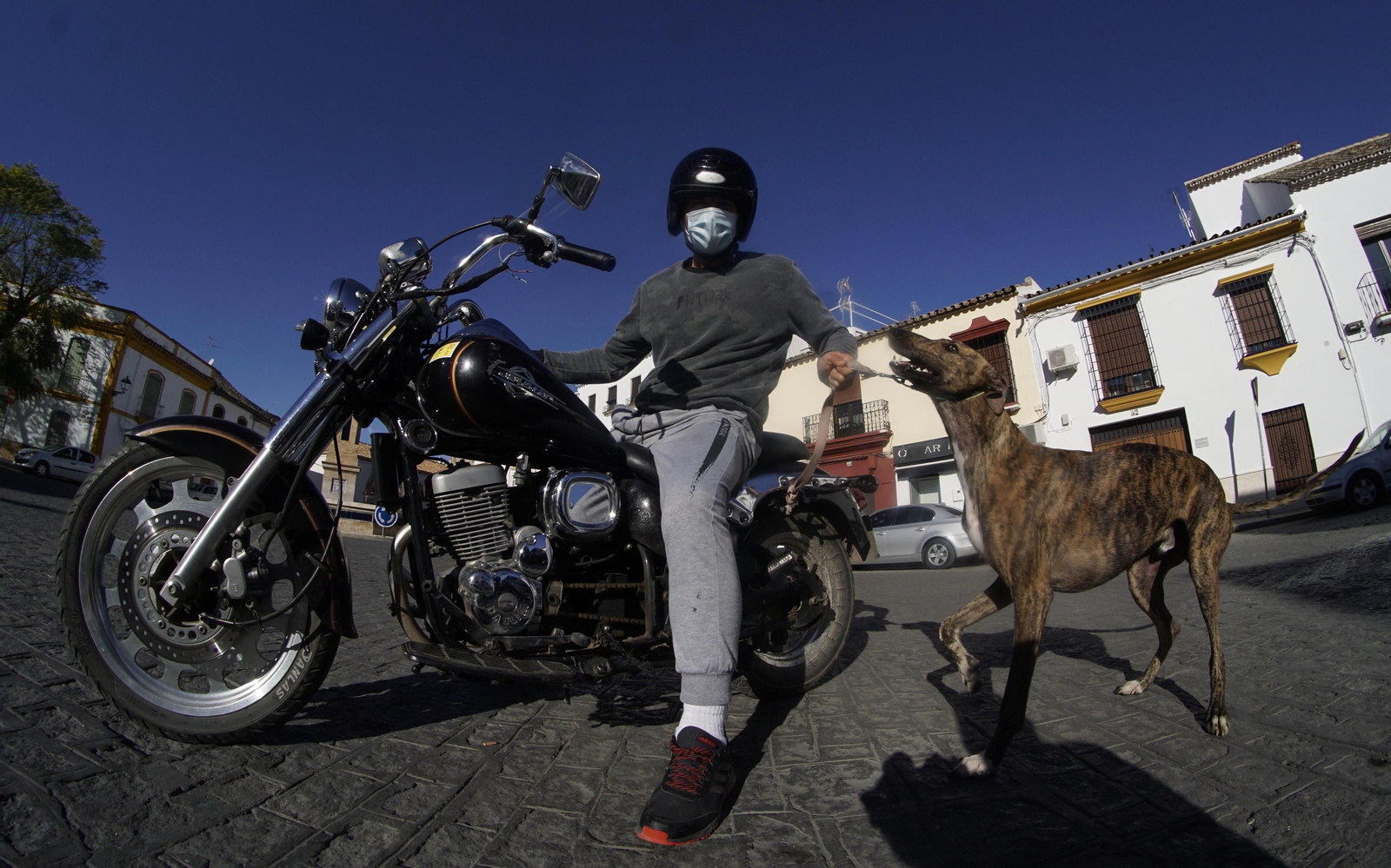 Las imágenes del confinamiento de Écija