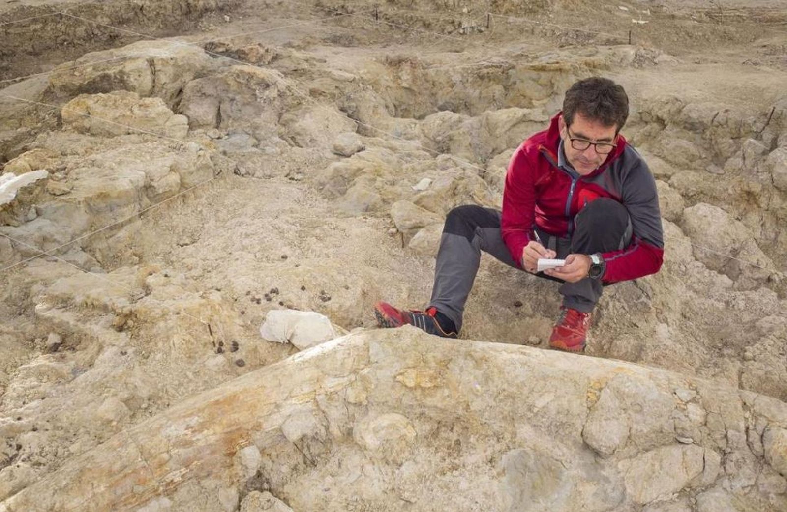 Juan Manuel Jiménez Arenas en el yacimiento de Fuente Nueva 3 de Orce (Granada).
