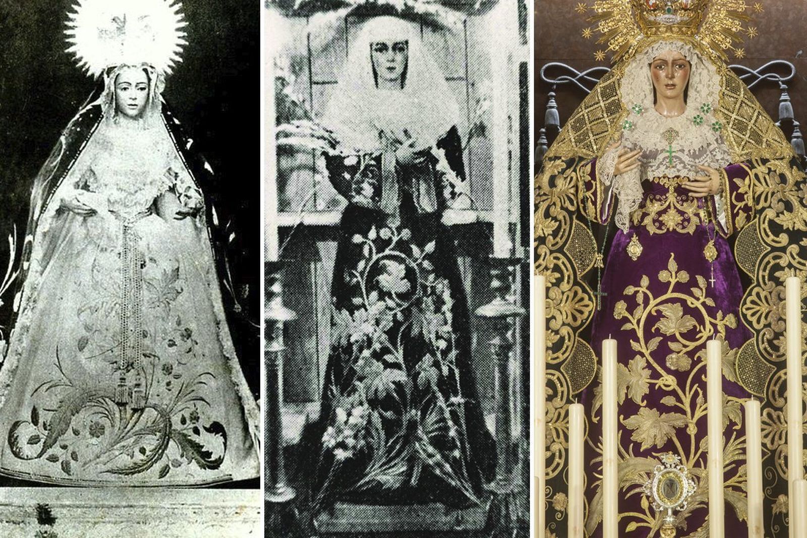 Comparativa de la evolución de la saya