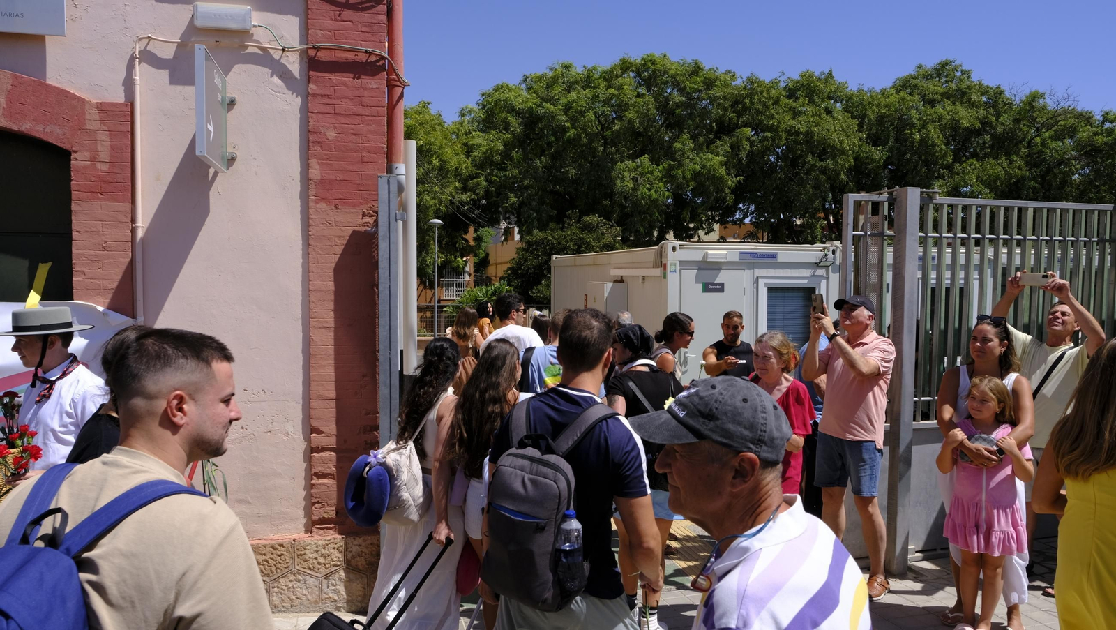 Claveles en defensa del tren en la provincia de Almería, en imágenes