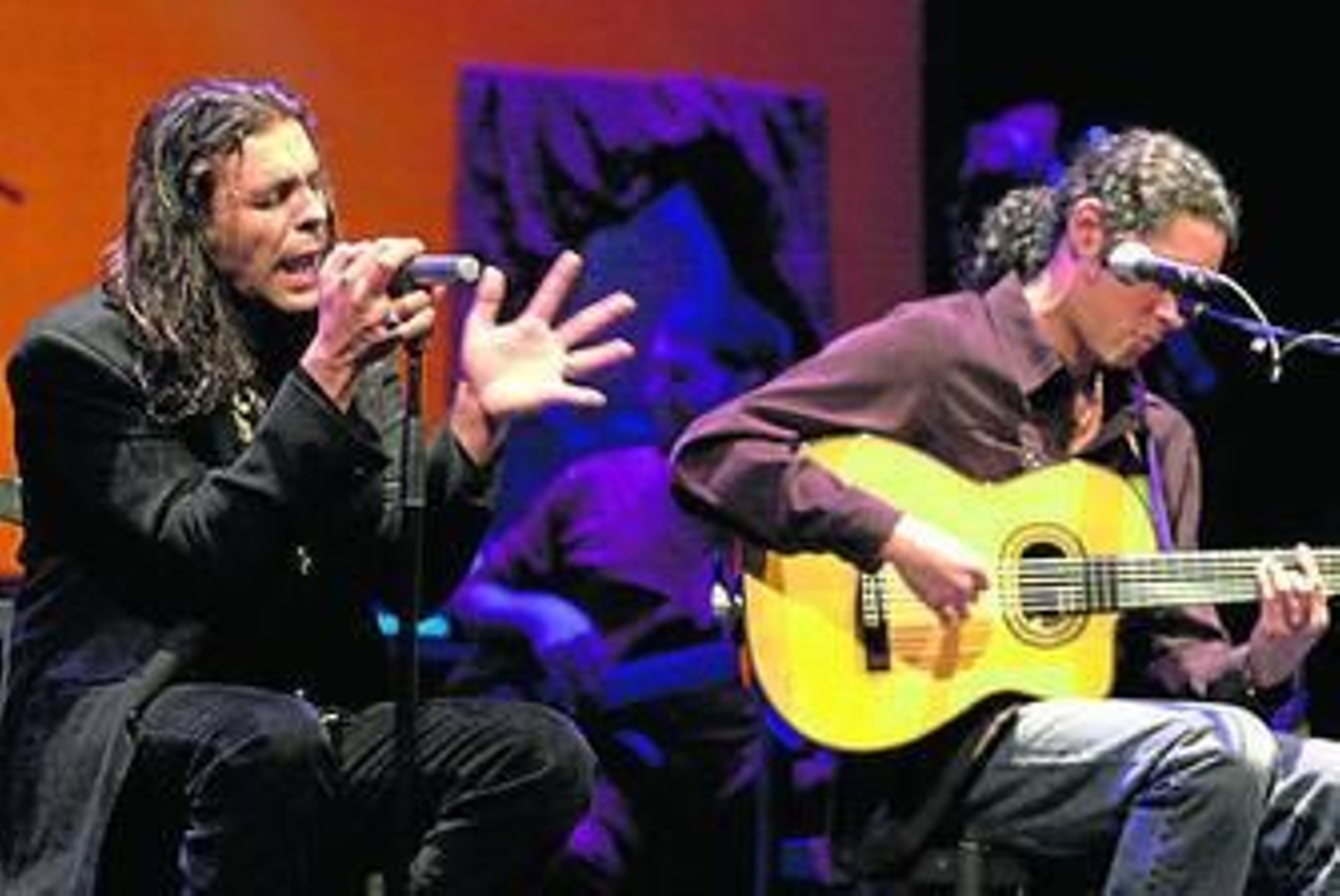 Navajita Plateá, durante una actuación en 2010.