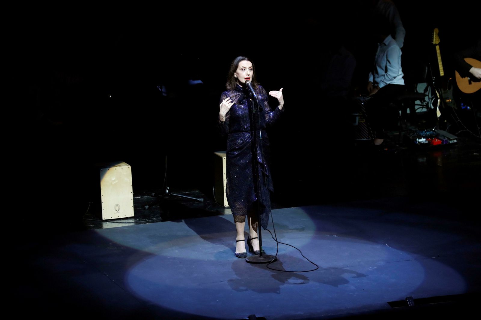 Luz Casal en uno de sus conciertos.