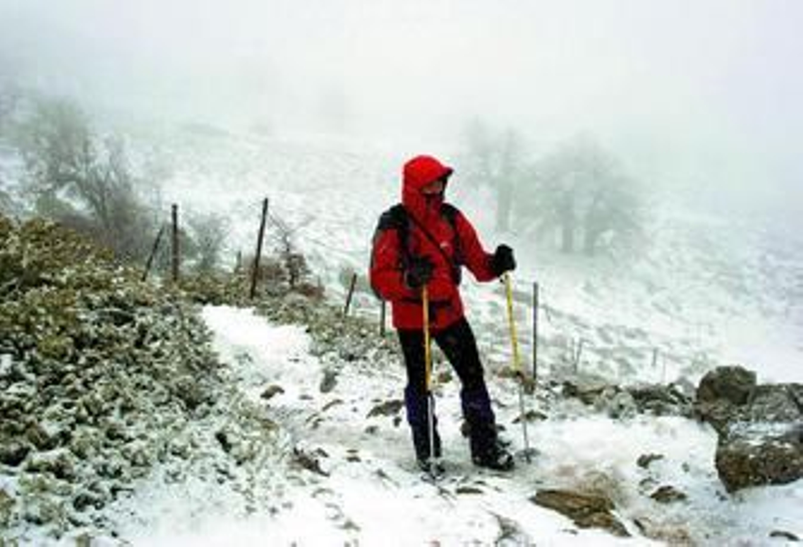 La nieve fue la diversión del domingo