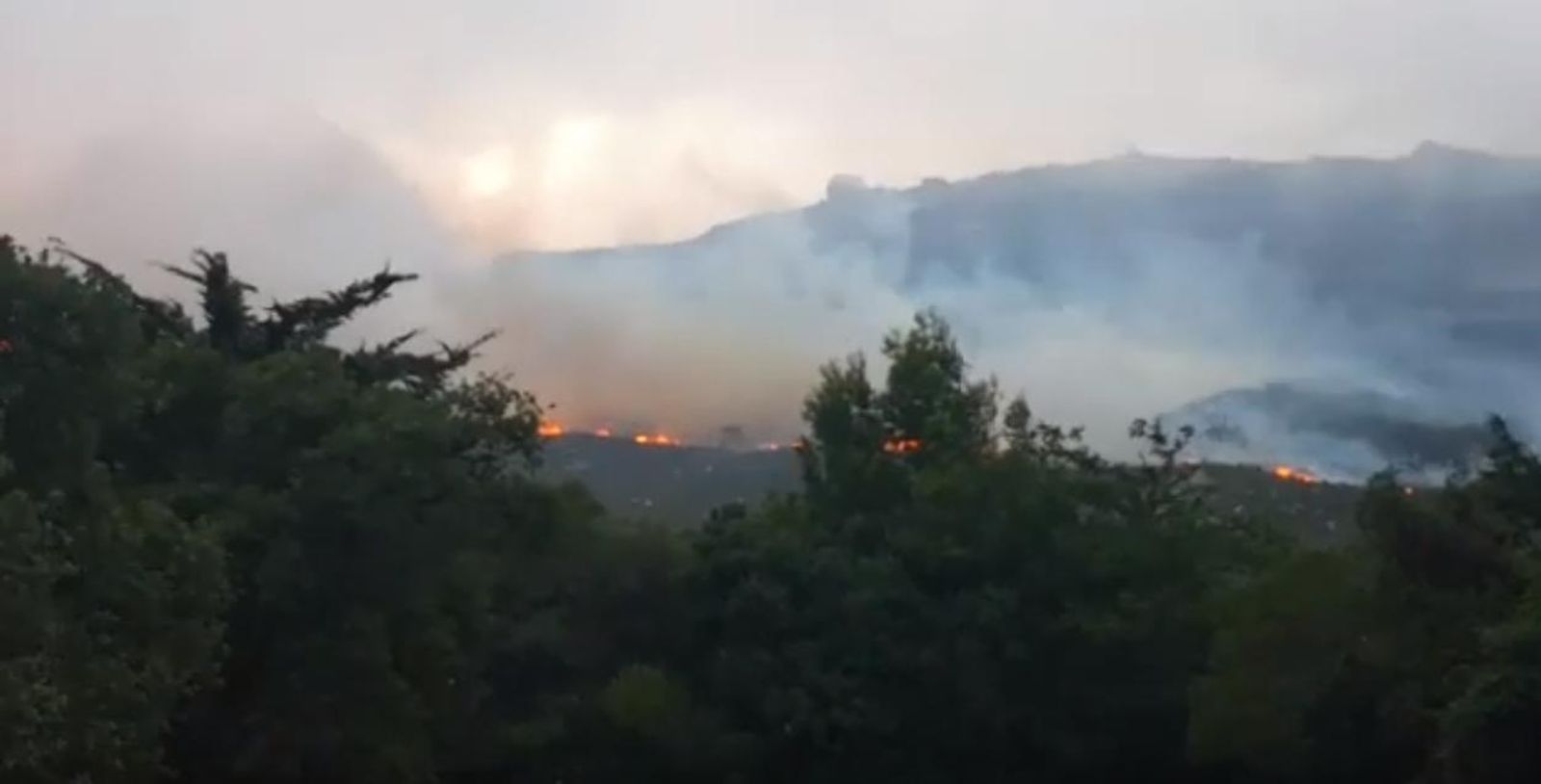 Imágenes del incendio forestal en la zona de El Cuartón, en Tarifa.