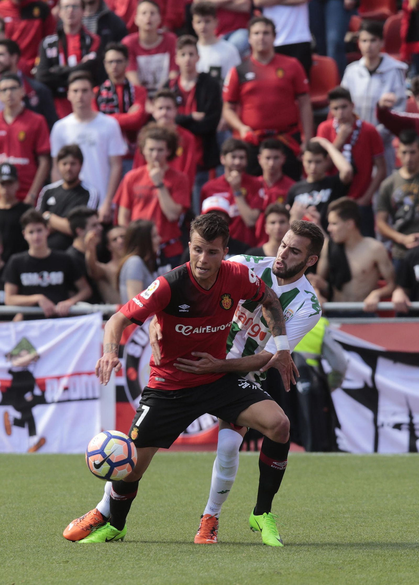 Las imágenes del Mallorca-Córdoba