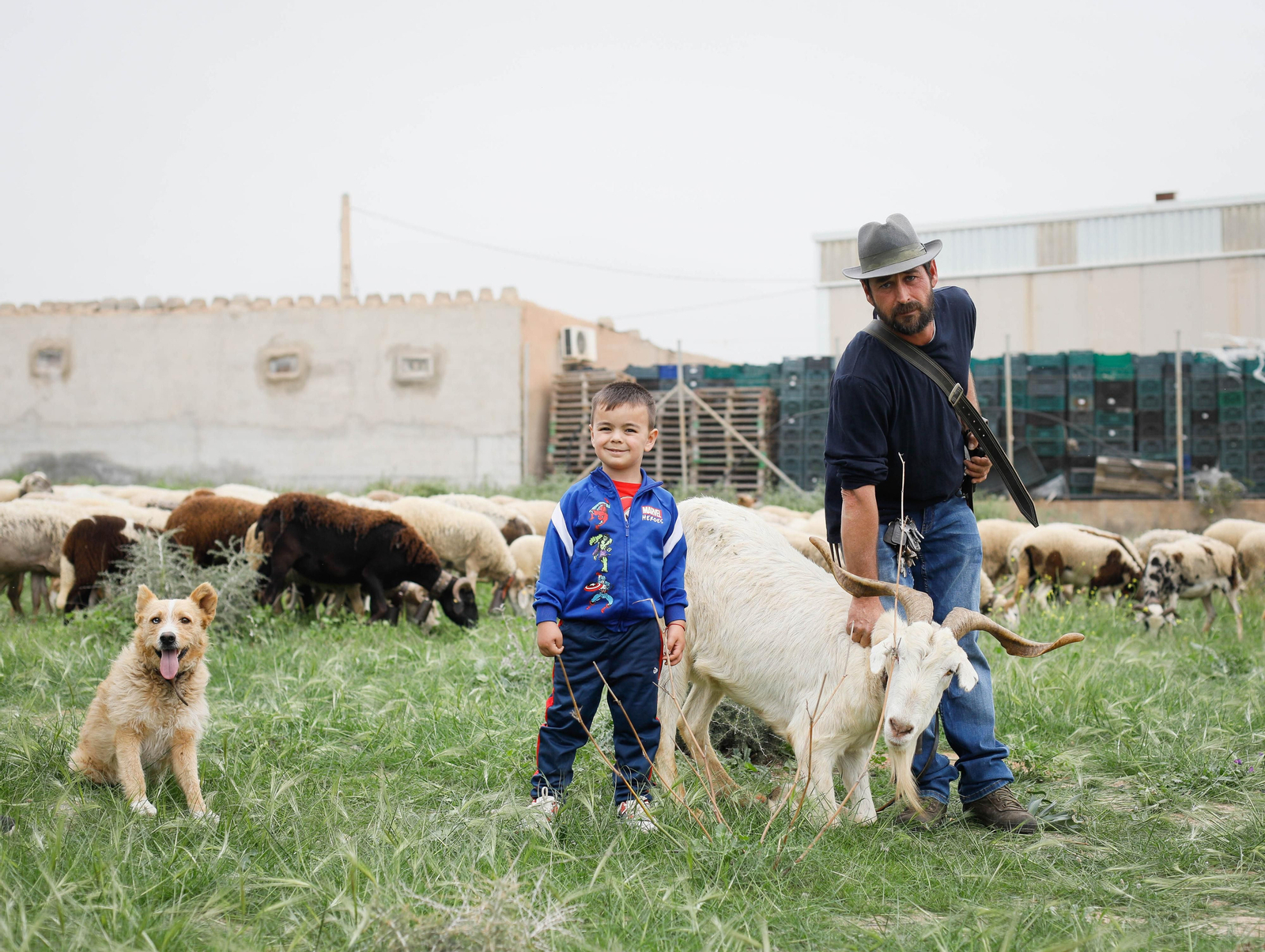 Galería de la Feria  de ganado en Tarambana