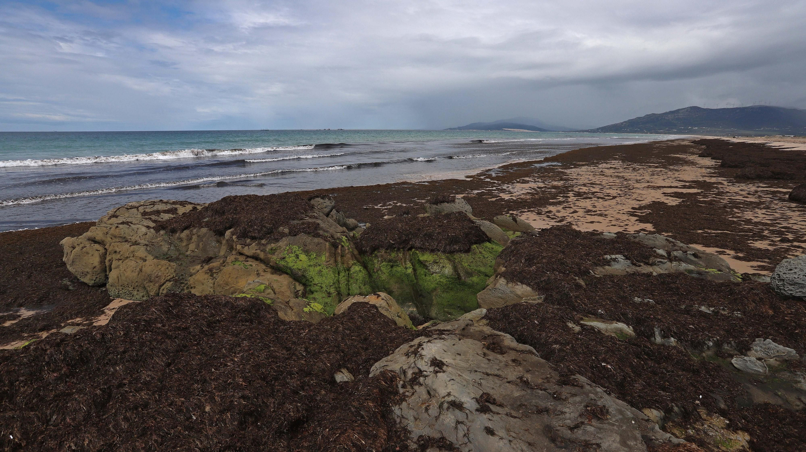 Reapertura de playas en Tarifa
