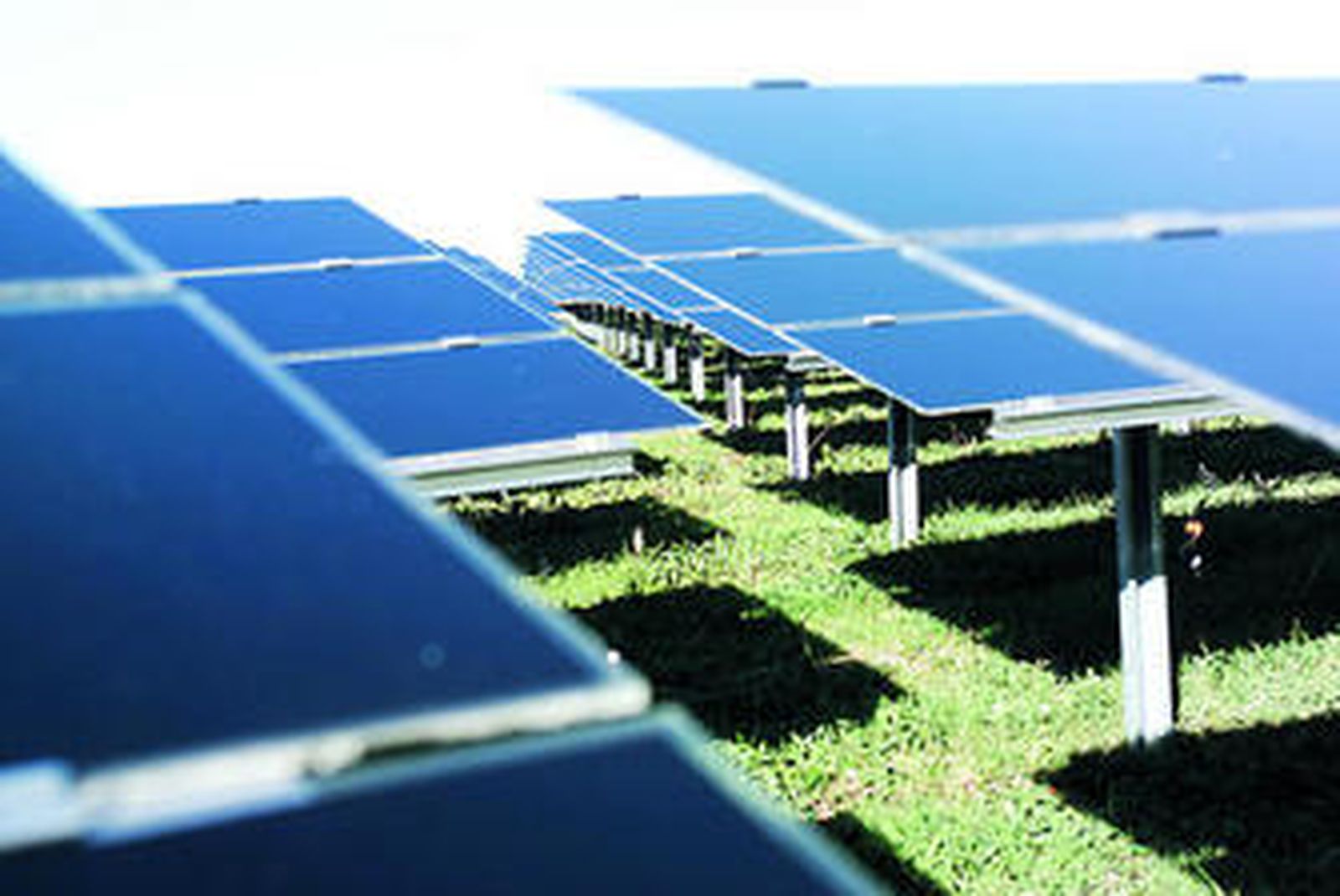 Huerto solar instalado en Antequera.