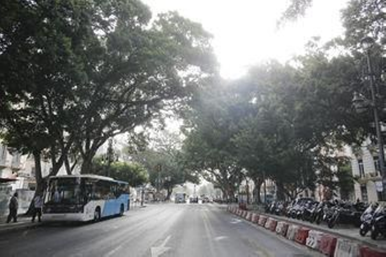 De la Torre dice que mantener al tráfico rodado el carril central de la Alameda es "la solución más compatible"