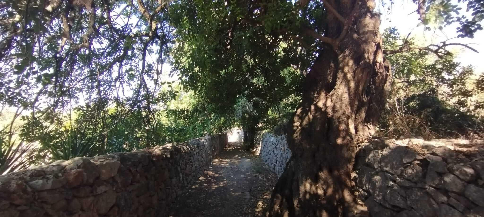 La Calçadinha Romana de São Brás de Alportel, un trozo de historia bajo tus pies