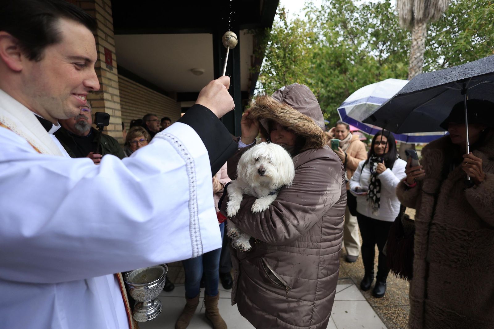 Las fotografías de la bendición de las mascotas por San Antón 2026