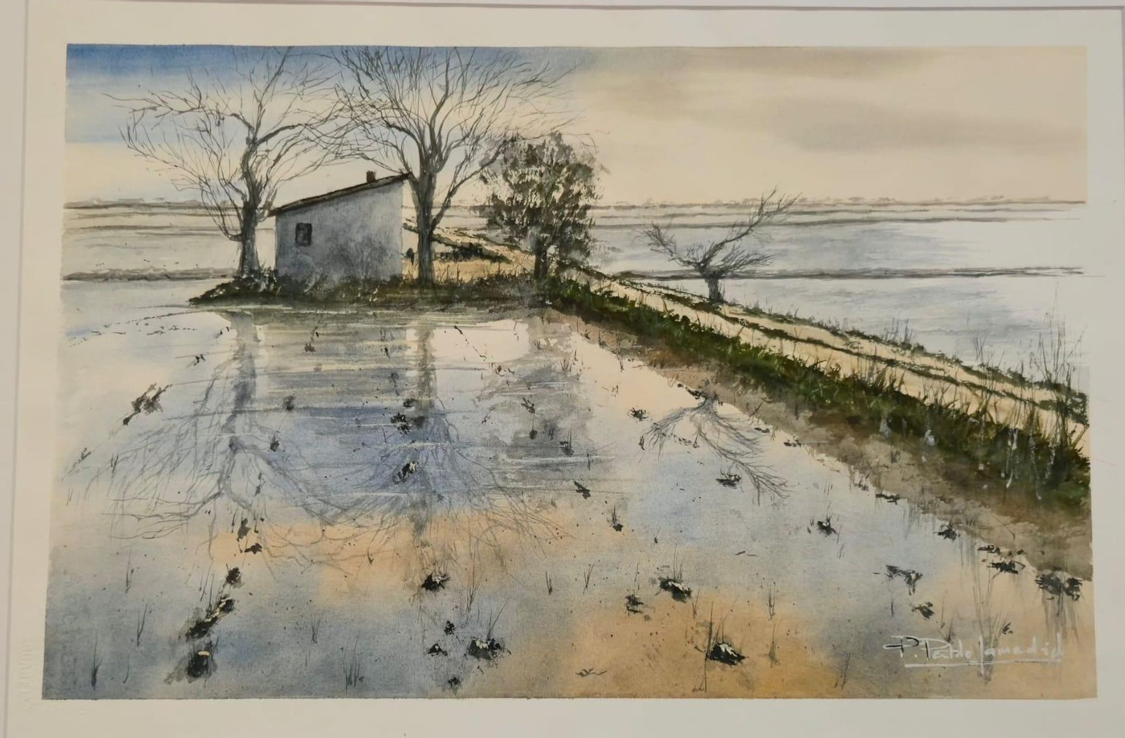 Obra de Pedro Pablo Lamadrid.