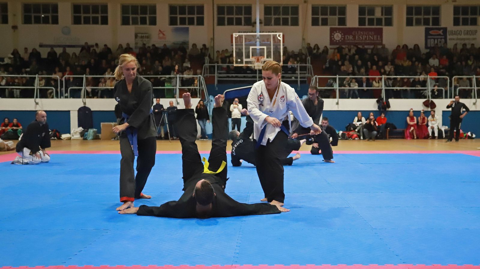 Las mejores fotos de la exhibición de Seul Gym en La Línea