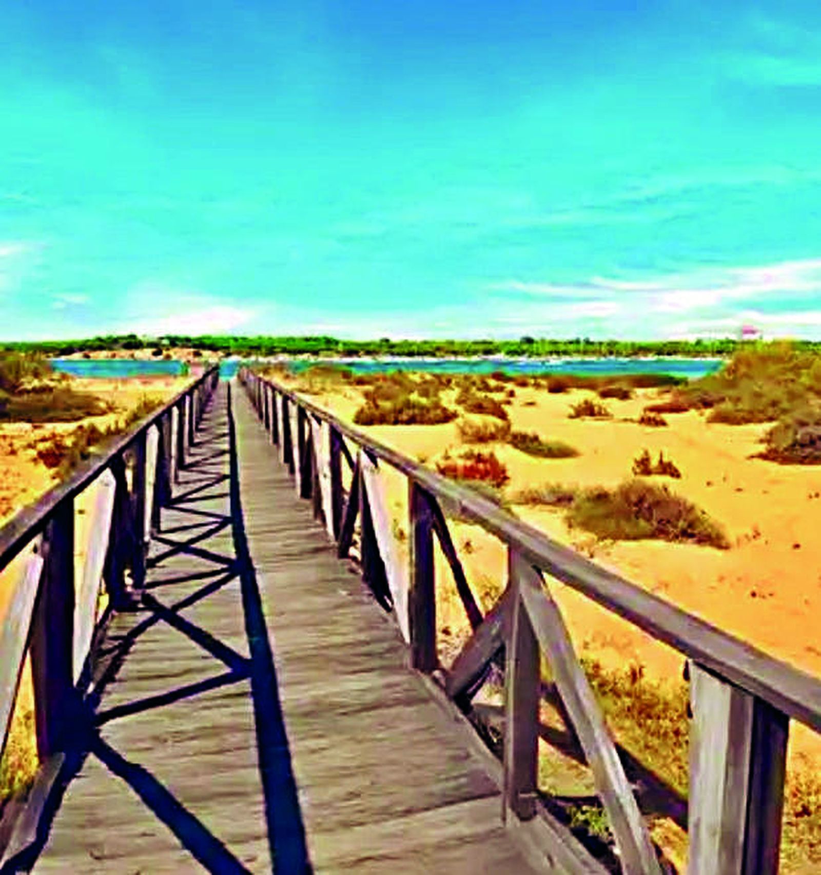 El litoral se muestra como una costa luminosa y diversa.