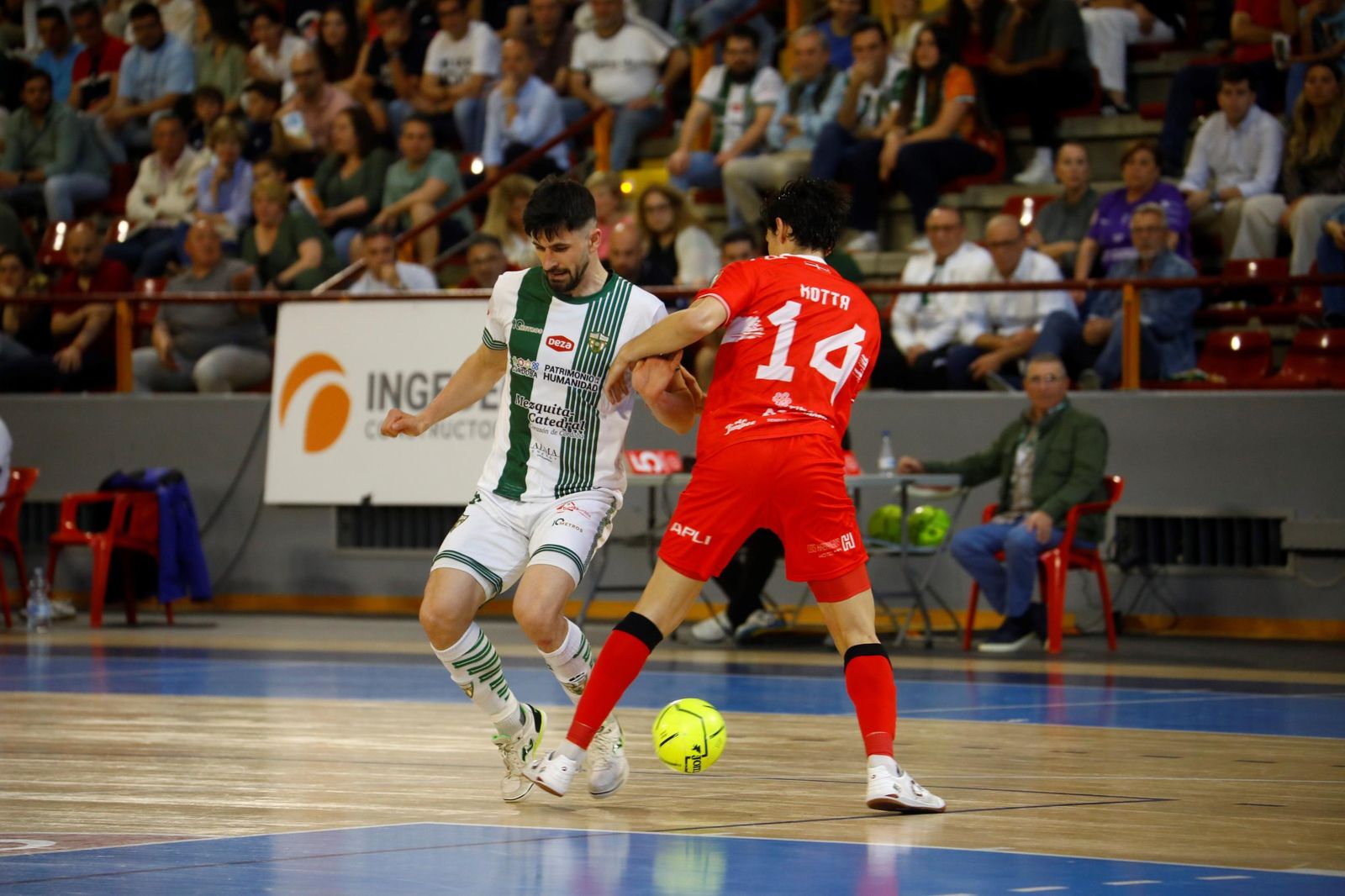 Las mejores fotos del ambiente en Vista Alegre para el Córdoba Futsal - Jimbee Cartagena