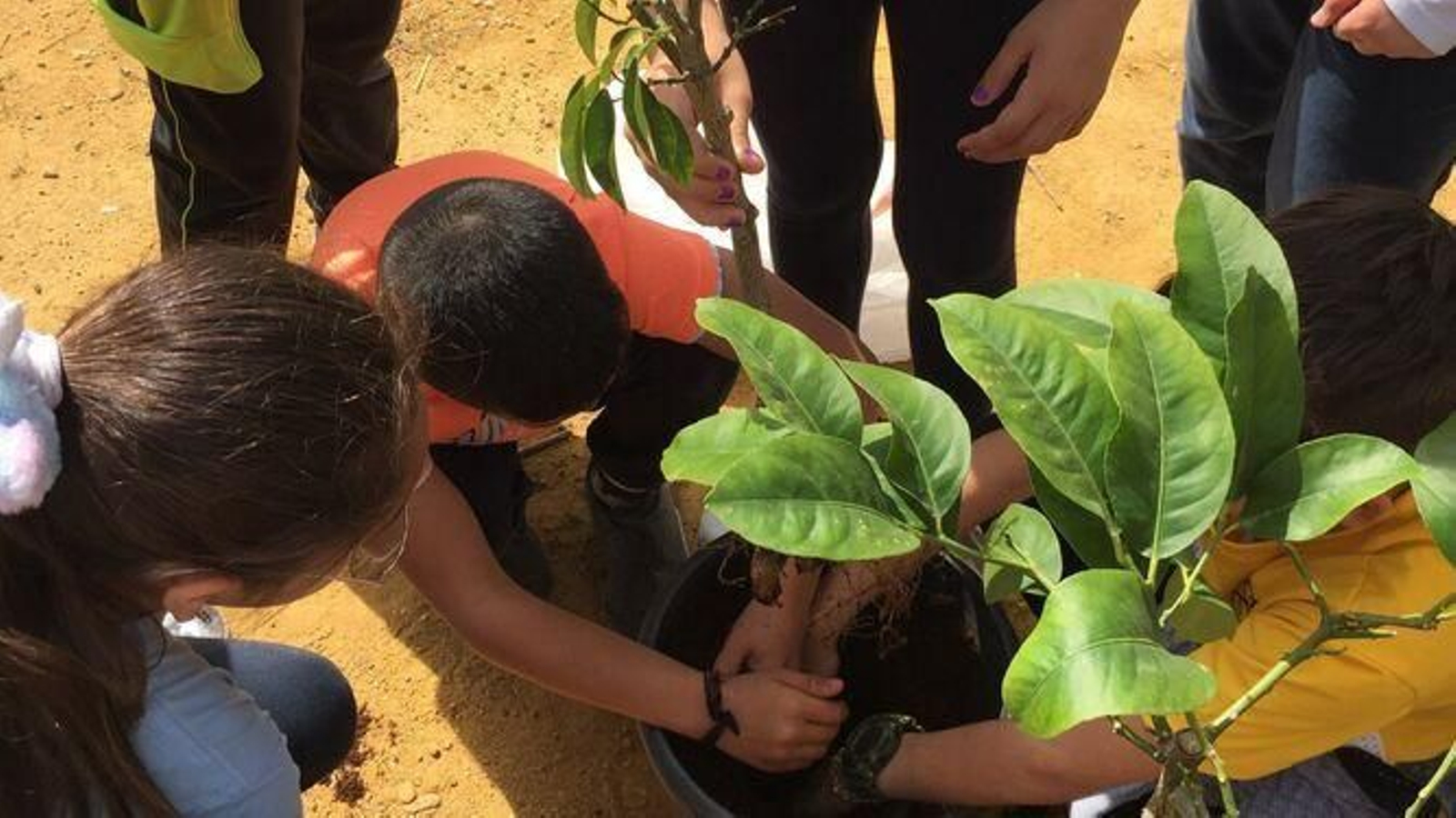 Los Campamentos de Verano de Huertos Urbanos se desarrollarán en siete emplazamientos de la ciudad.