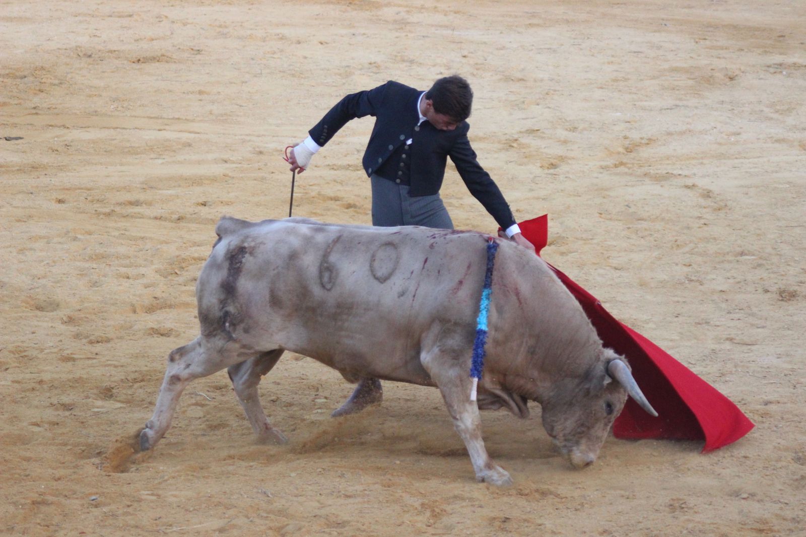 Toros Huelva: Luque, Bastos y un serio jabonero de Prieto de La Cal en Almonte