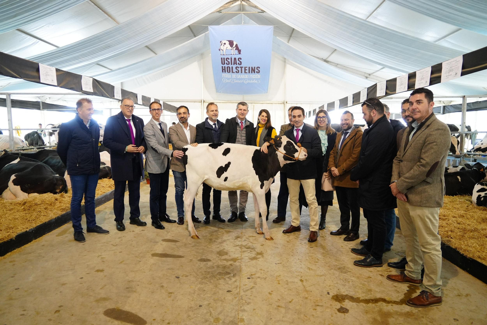 Un paseo en imágenes por la XVI Feria de Ganado Frisón Usías Holsteins de Dos Torres