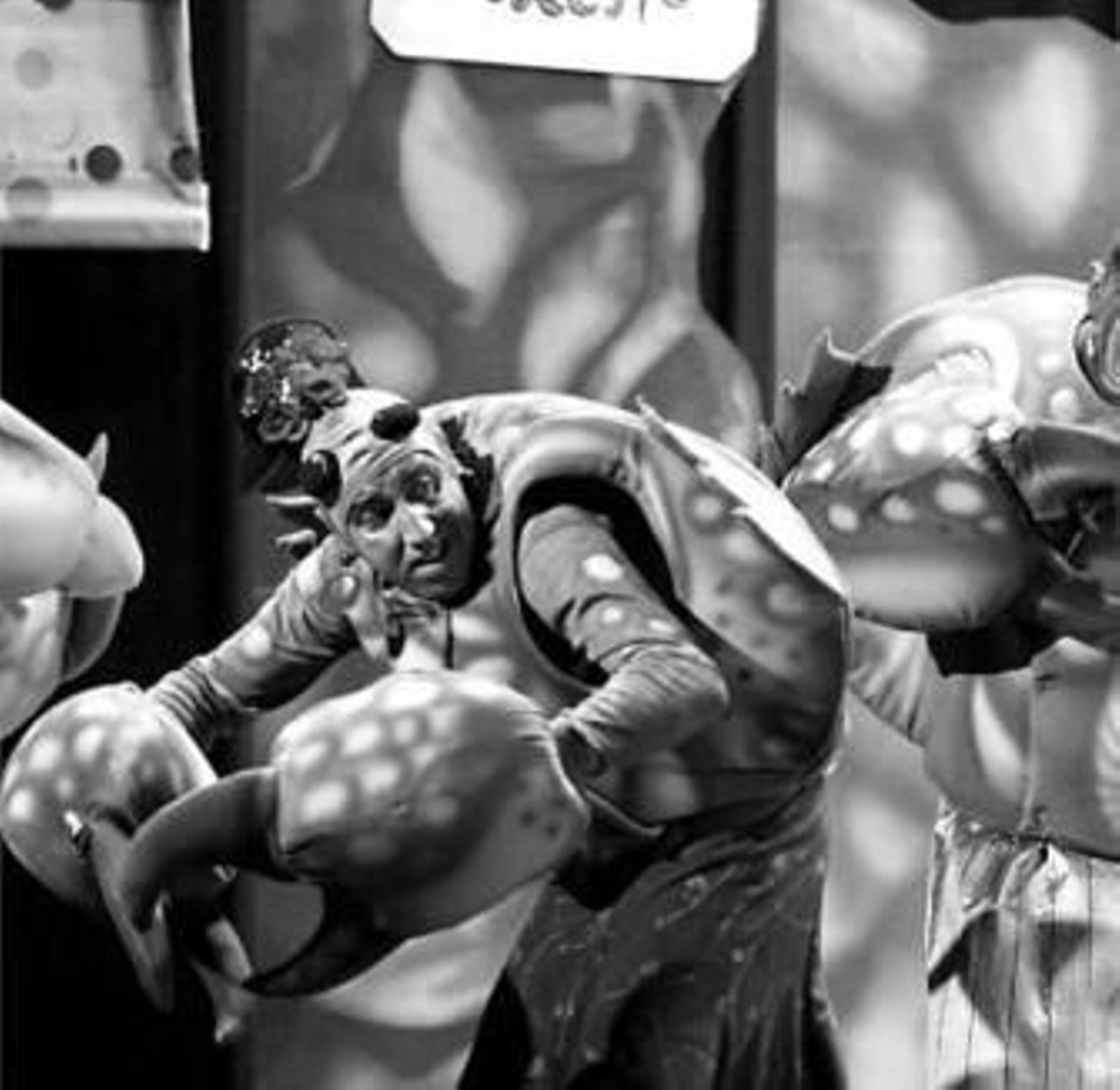 'Los que van como Cadi' contarán con la música de Paco Rosado.