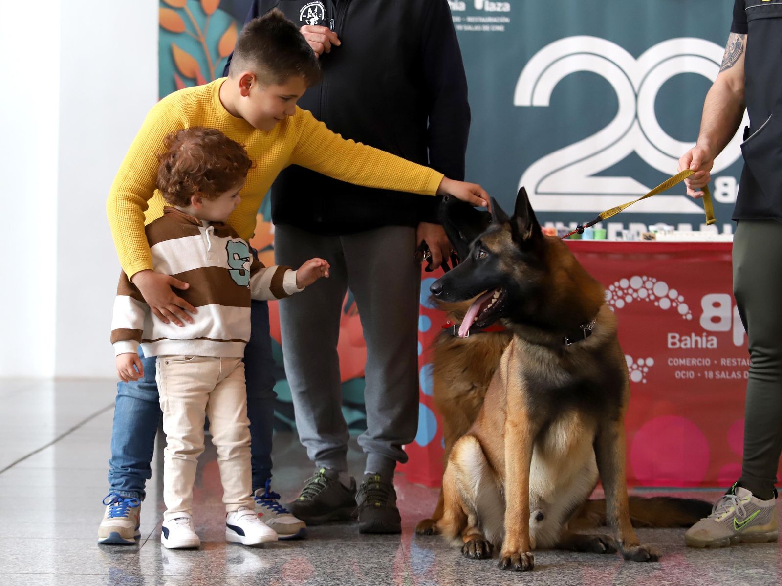 Fotos de la jornada 'Mi mascota, mi familia' en el Centro Comercial Bahía Plaza.