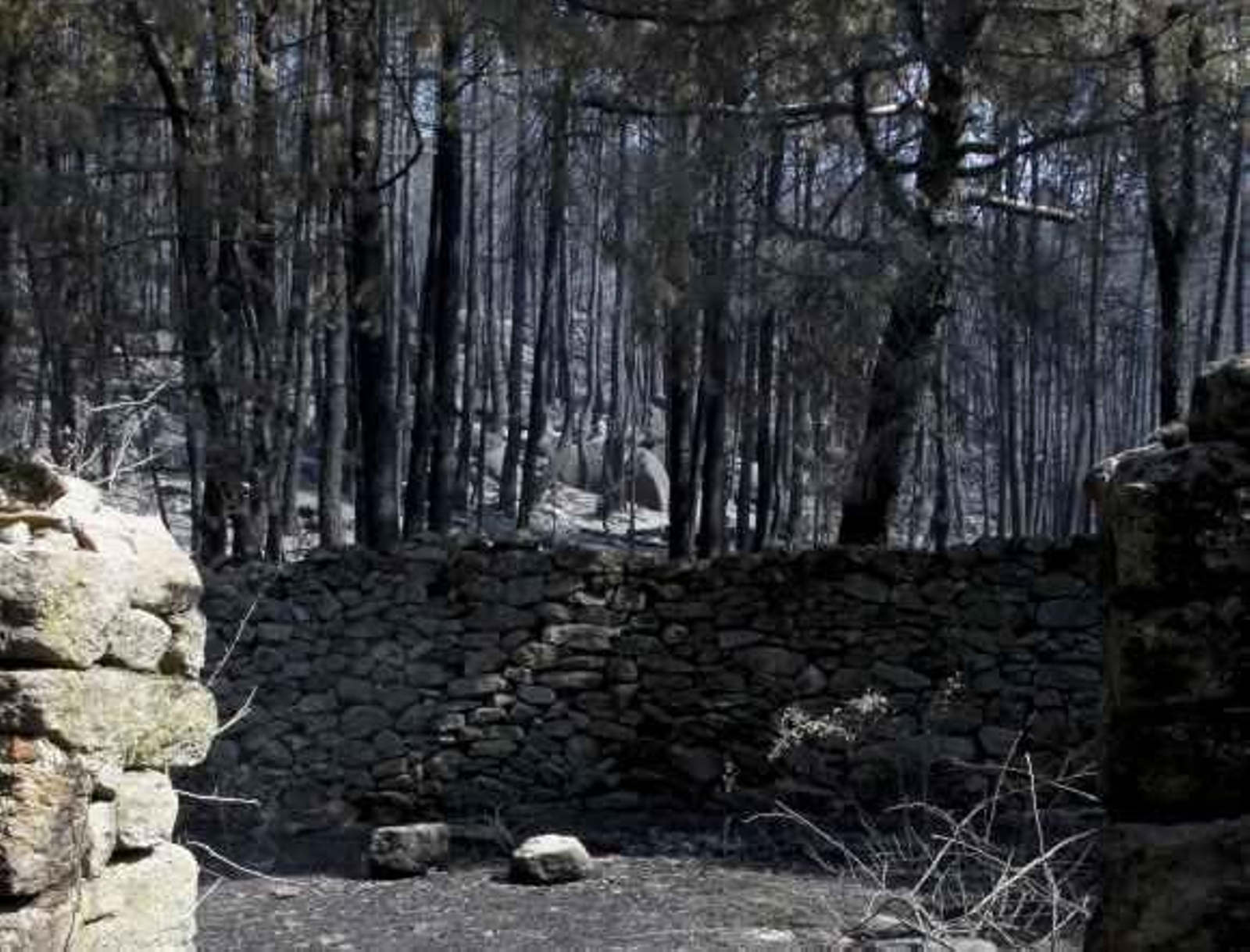 El fuego ha arrasado ya este año 75.000 hectáreas de monte en España