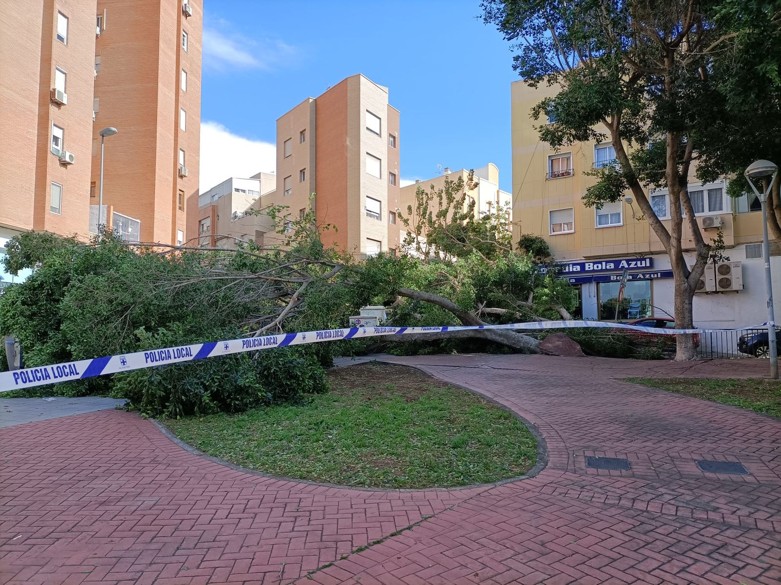 WhatsApp Image 2026-01-27 at 12.58.38 (1)