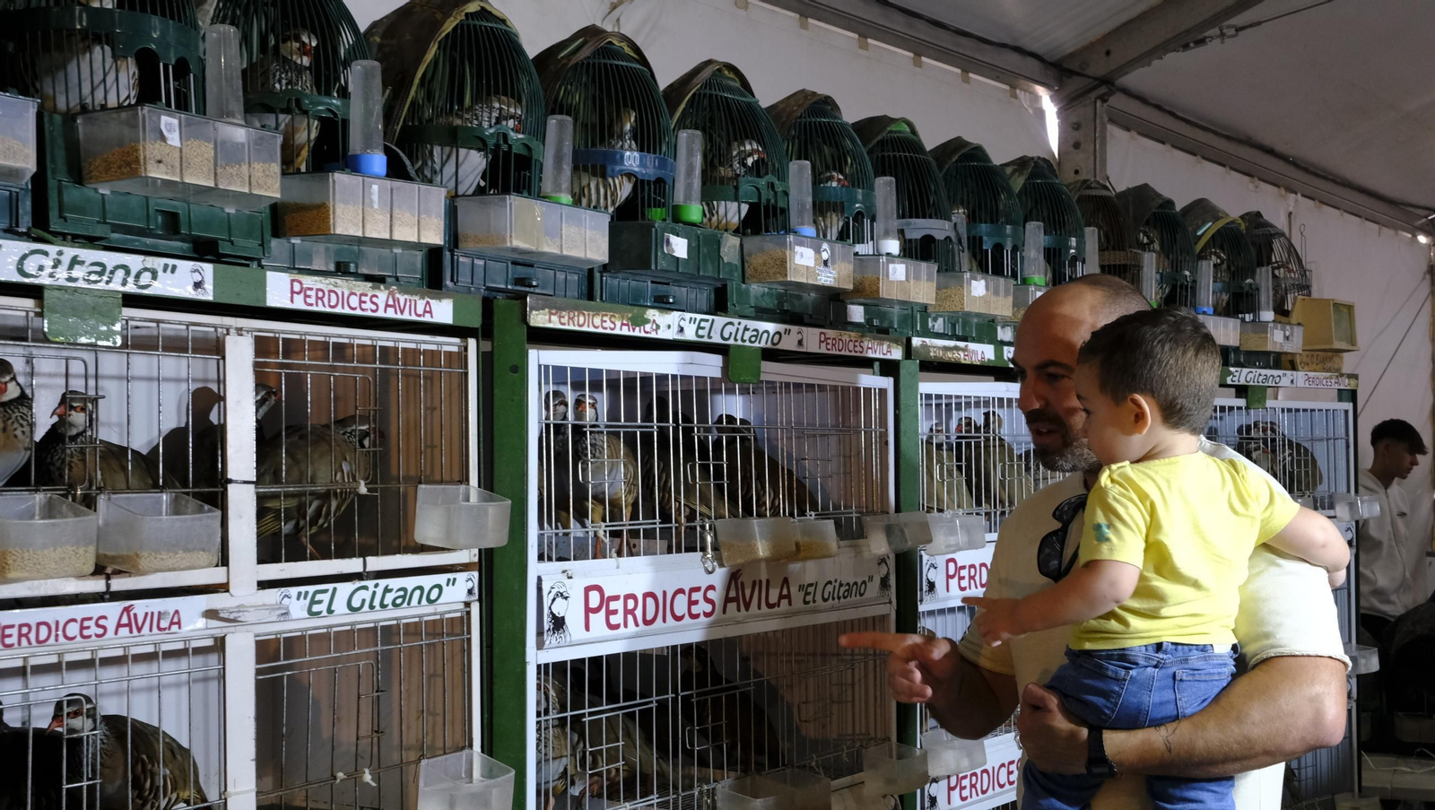 Las fotos de la Feria del Ganado y del Pájaro Perdiz en Albox