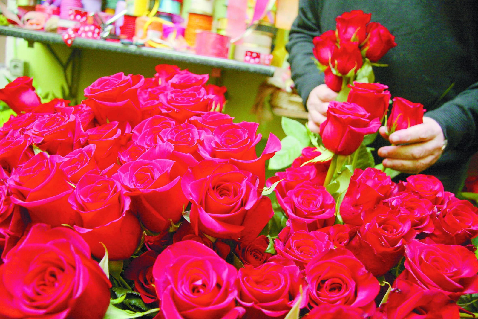 Rosas, uno de los detalles más populares para San Valentín.