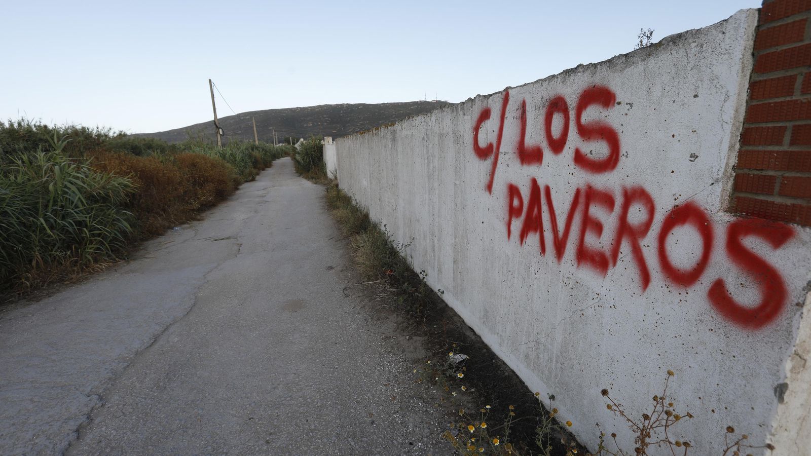 Una calle de acceso a huertas en El Zabal. Una calle de acceso a huertas en El Zabal.