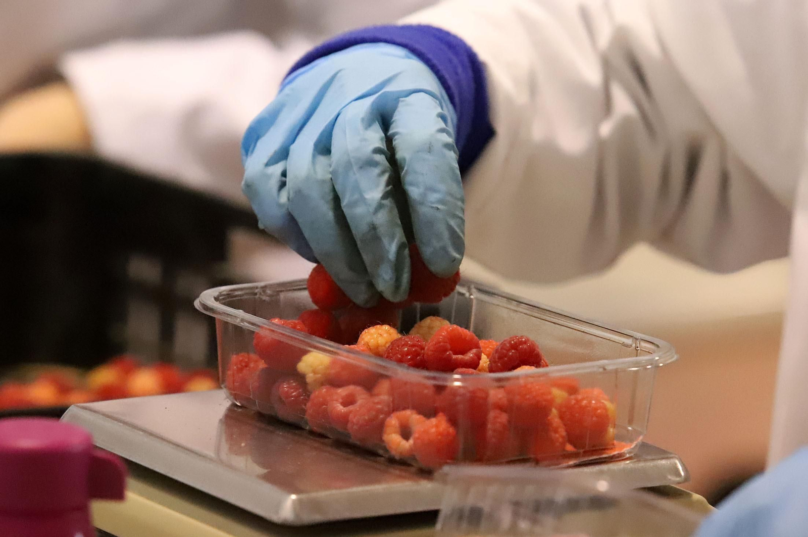 Imágenes de la realidad del trabajo en el campo