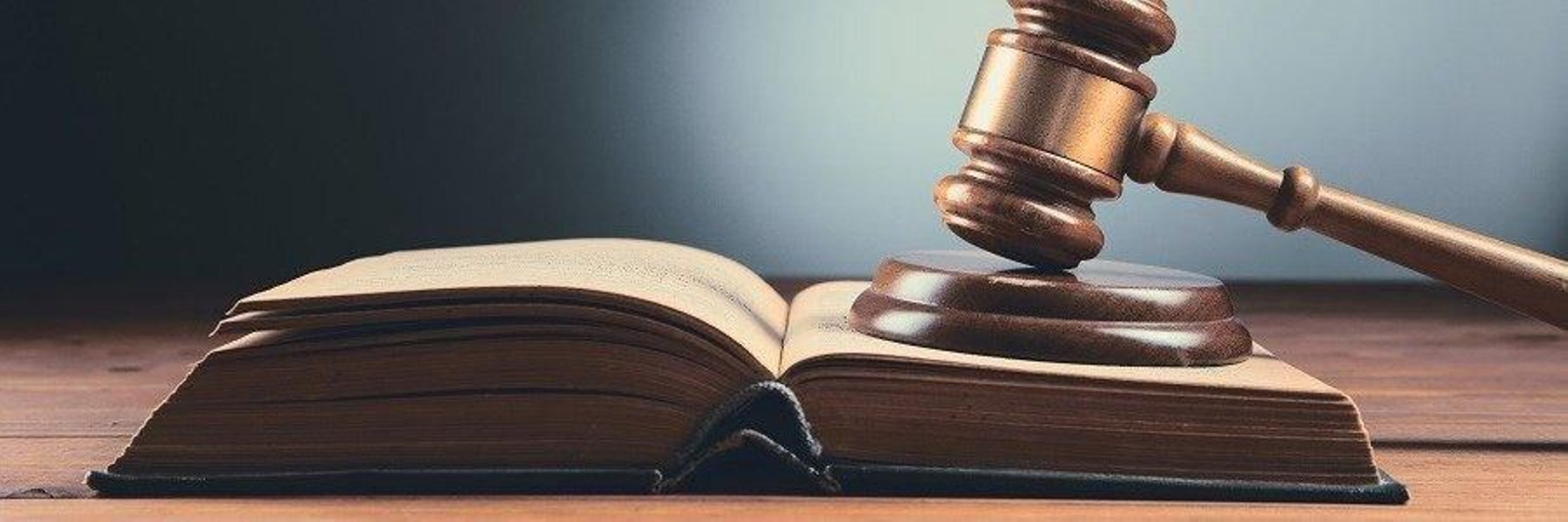 Se aprueba la reforma de ley para que los animales dejen de ser considerados "cosas" con 22 votos a favor y 14 en contra