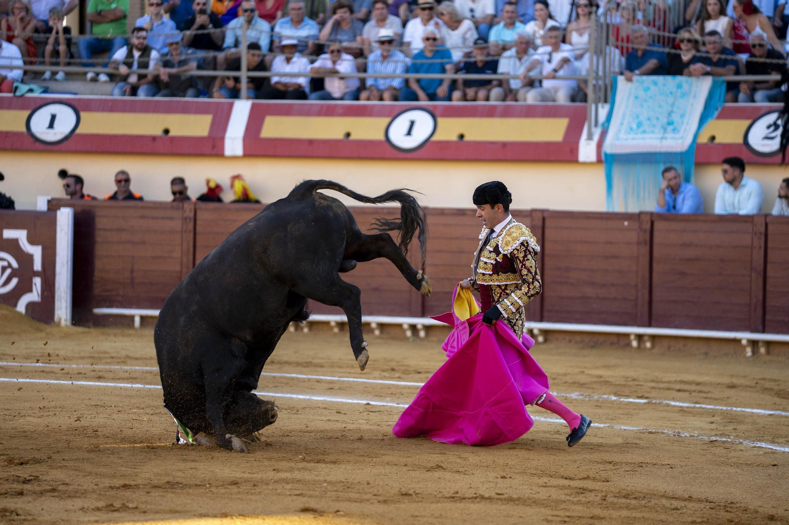 Las imágenes de los toros en Vera