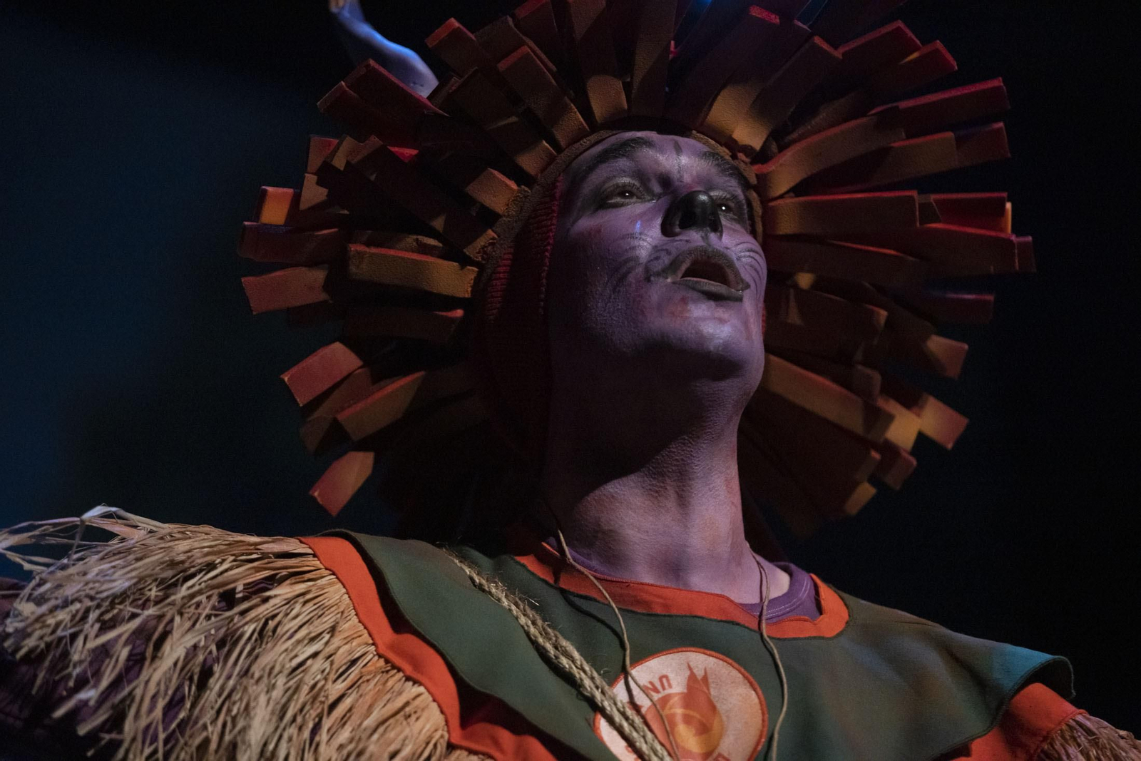 Imágenes de la actuación de la comparsa de Villalba del Alcor y Paterna  'Un mundo nuevo' en el Carnaval Colombino