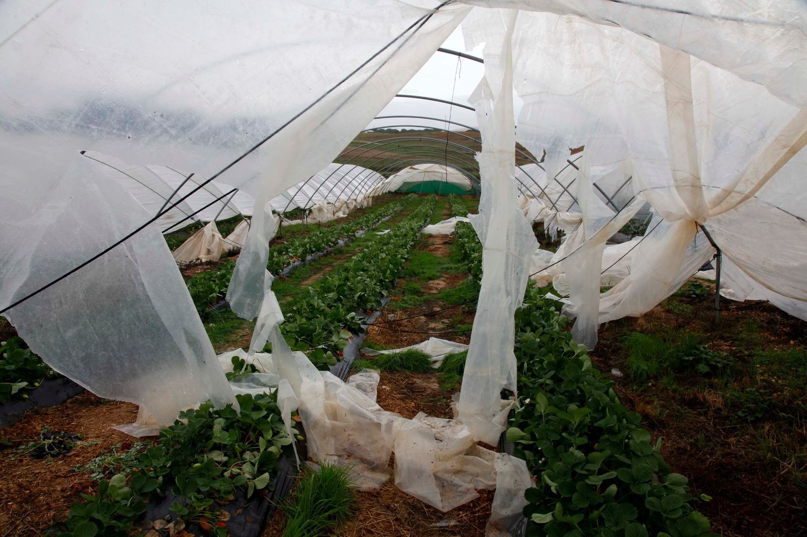 Imágenes de los destrozos de la tormenta Elsa en la costa de Huelva