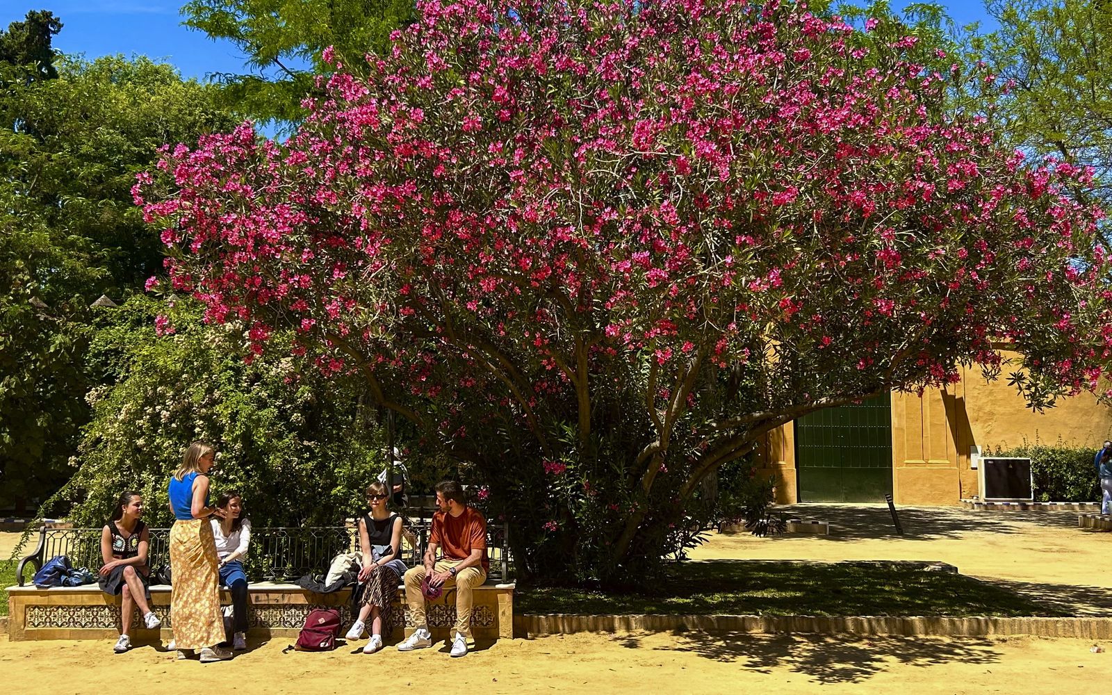 Primavera en Sevilla