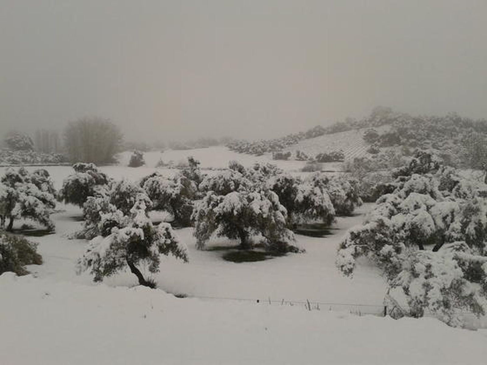 Cazalla de la Sierra.

Foto: Monte Osorio