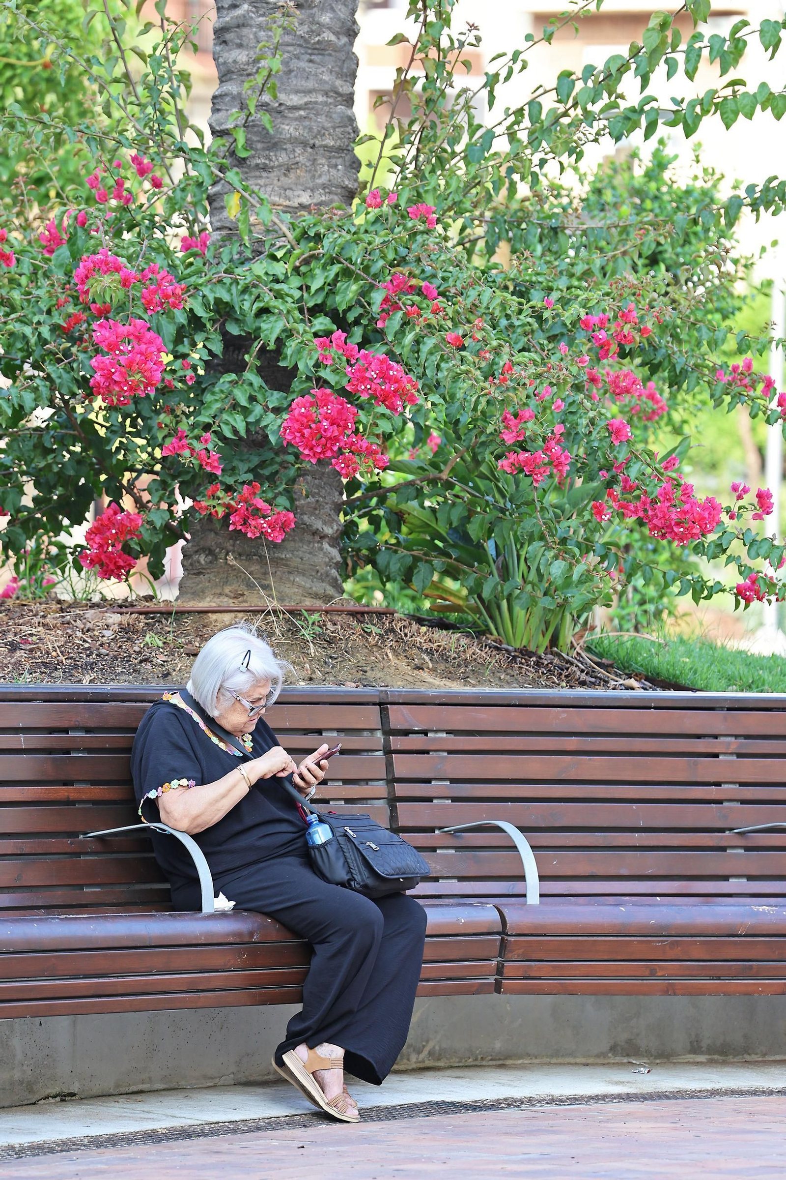 La Plaza de La Merced, un remanso de paz en las mañanas de verano