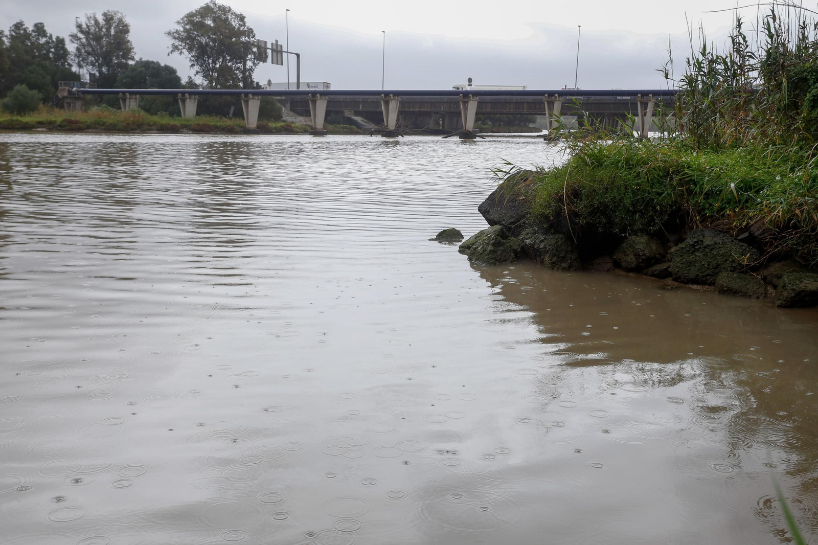 Fotos de los ríos del Campo de Gibraltar tras las últimas lluvias