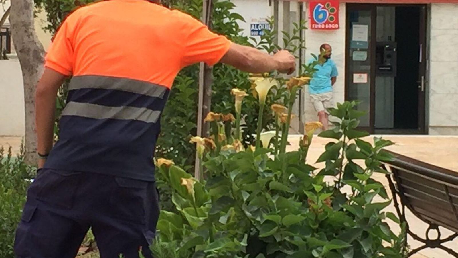 Control de plagas en Dalías.