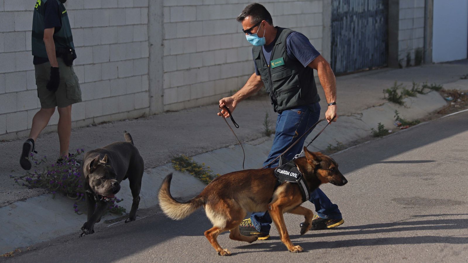 Un guardia civil defiende a su perro de la presencia de otro durante los registros realizados en 'Villa Narco'