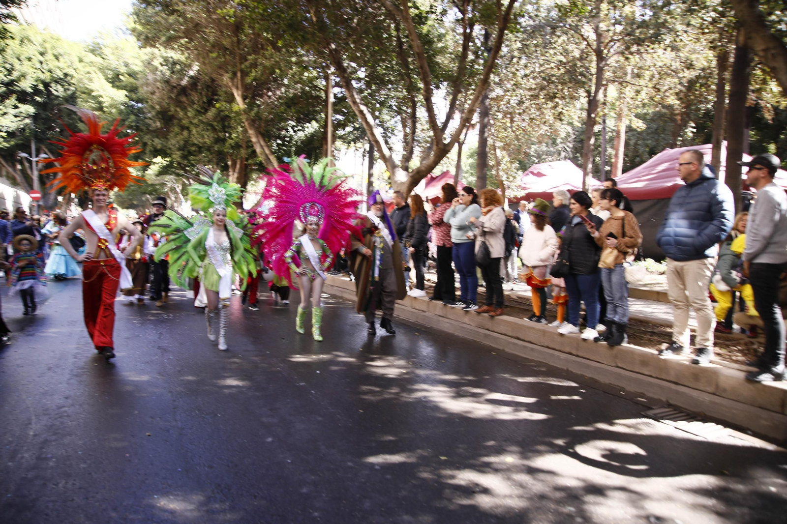 Las imágenes del entierro de la sardina en Almería