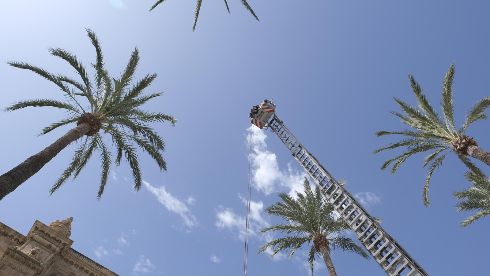 Ofrenda floral a la Virgen del Mar en la Feria de Almería 2024, en imágenes