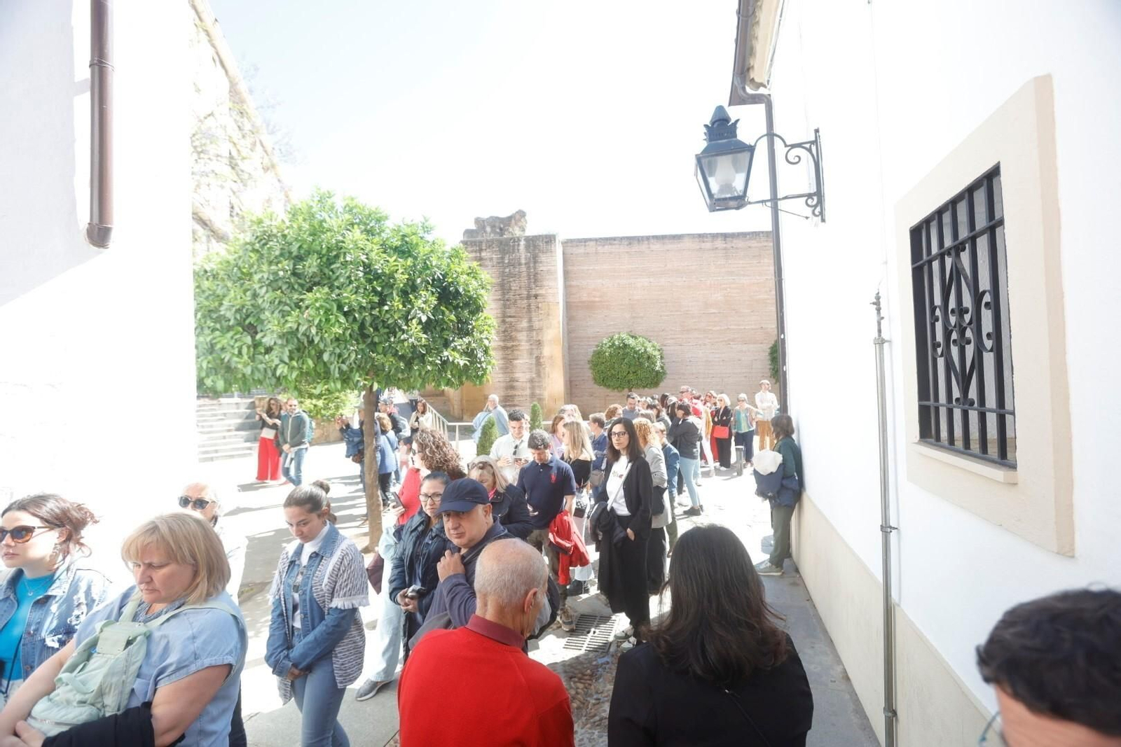 Las mejores imágenes del primer día de Patios en Córdoba