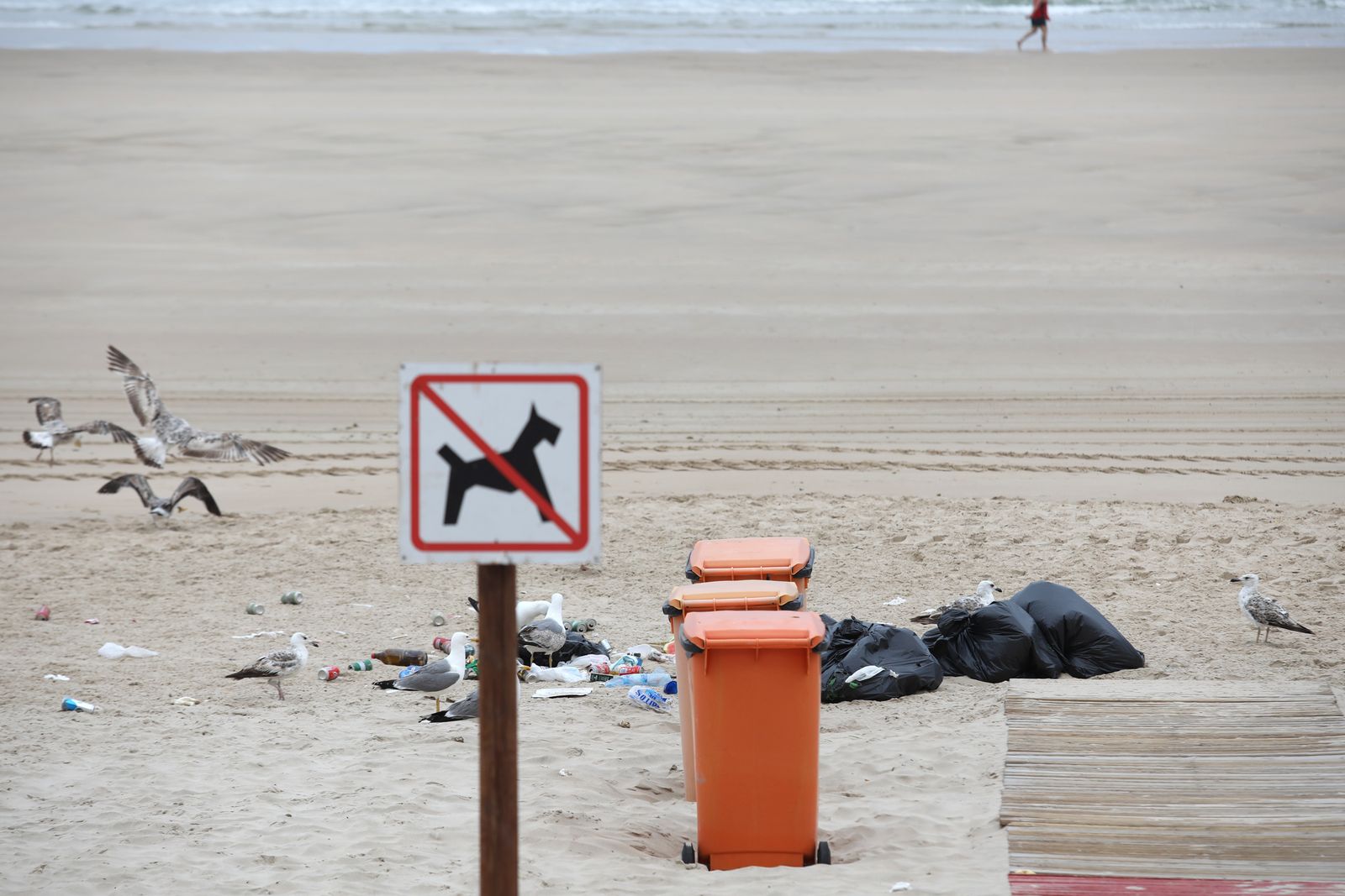 Bolsas de basura una mañana en la playa Victoria, en una imagen de archivo