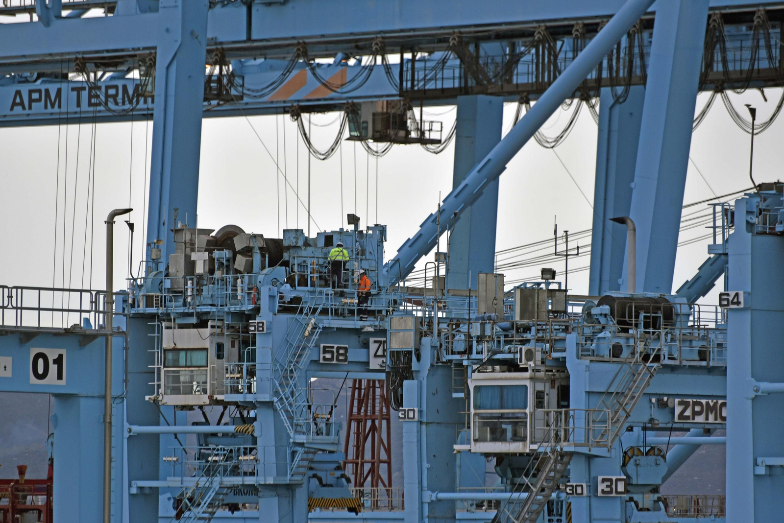 Actividad en la terminal Juan Carlos I del Puerto de Algeciras.