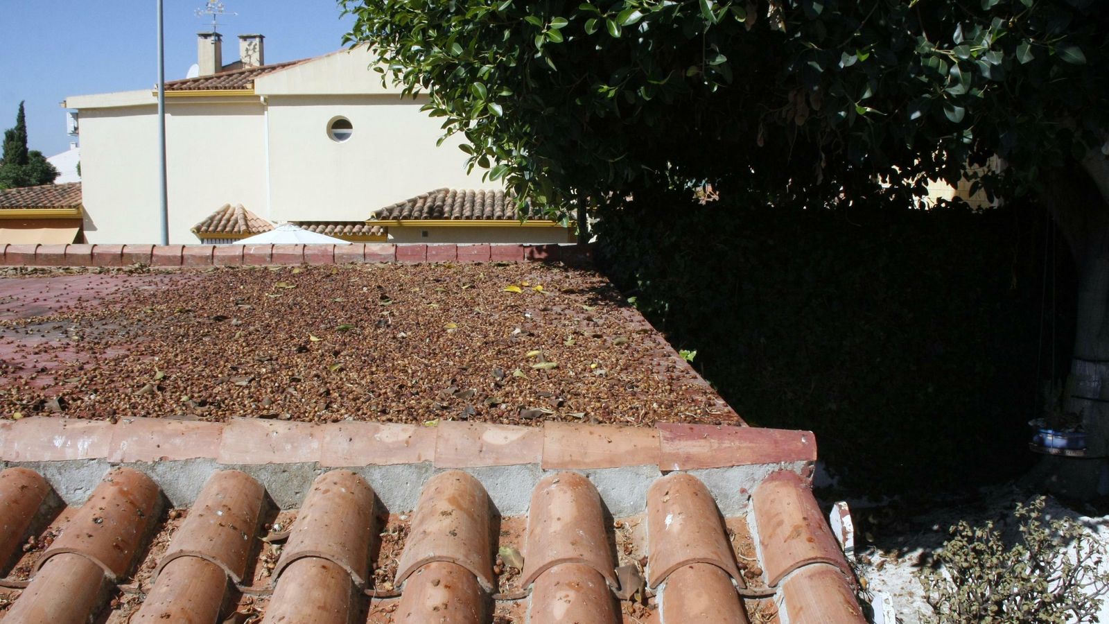 Imagen actual del techo de la casa de Concha García.