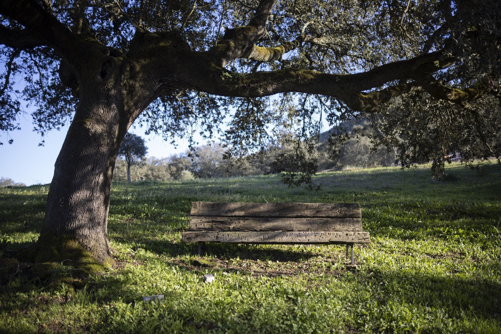 Imágenes de La Nava