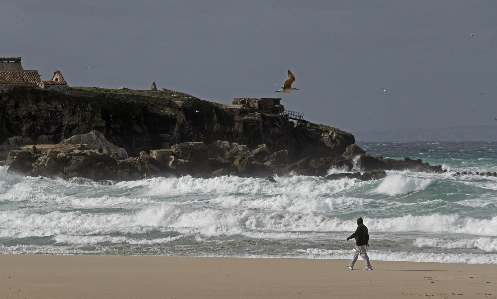 Fuerte oleaje en Tarifa