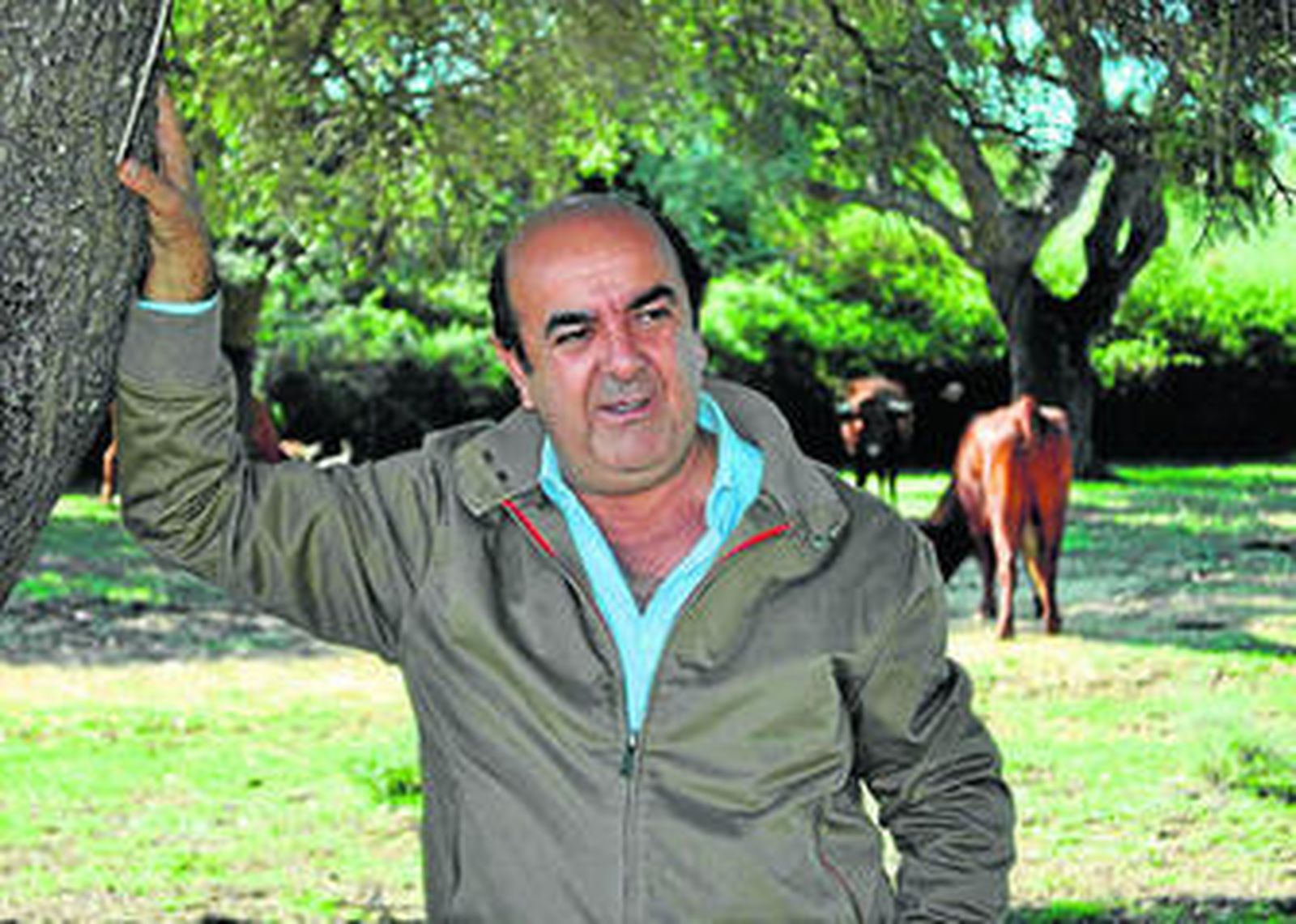 Manuel Vázquez Gavira, en su explotación de retinto en Cádiz.