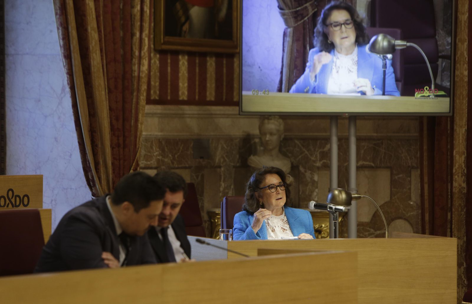Discurso de la Defensora del Ciudadano, Rosa Muñoz, ayer en el salón de Plenos del Ayuntamiento.